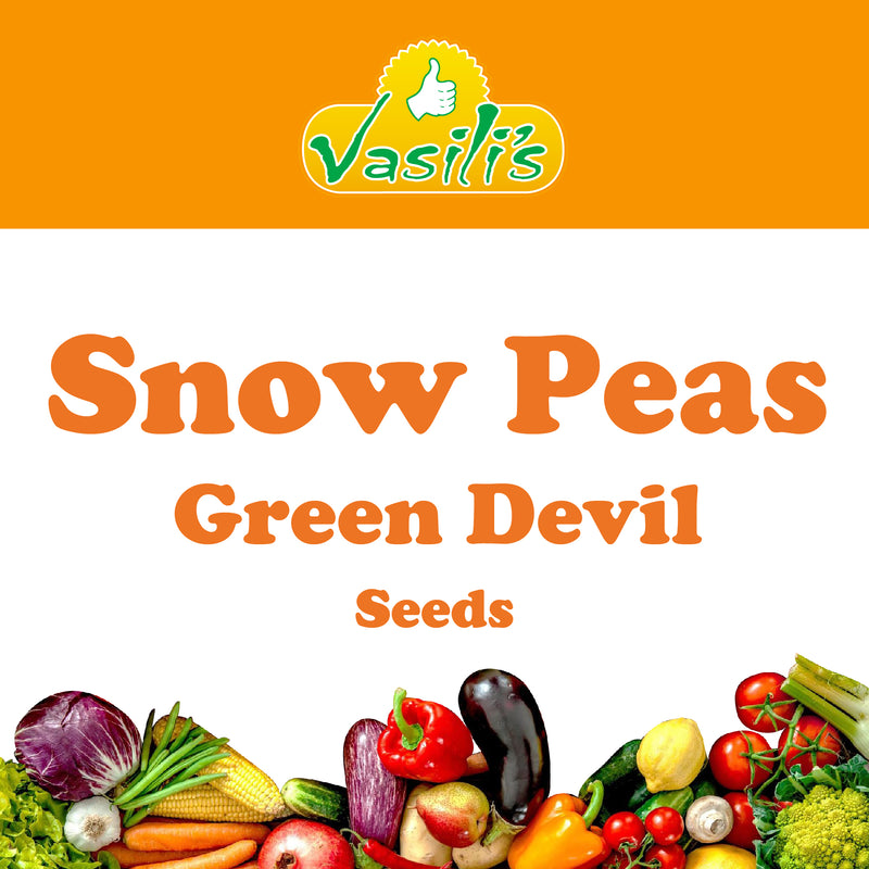 Snow Peas Green Devil Seeds