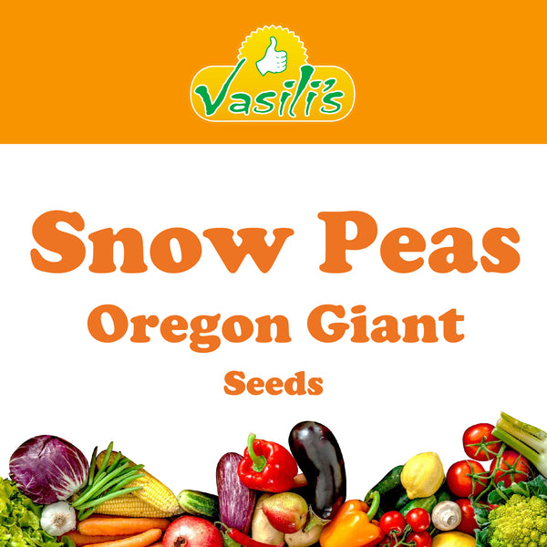 Snow Peas Oregon Giant Seeds