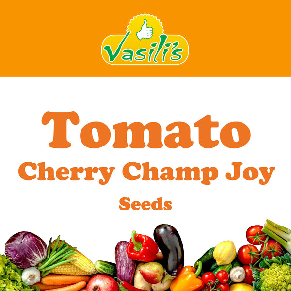 Tomato Cherry Champ Joy Seeds