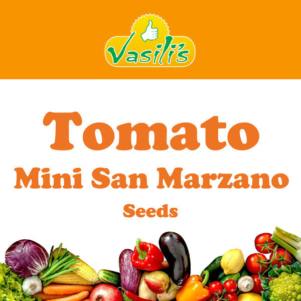 Tomato Mini San Marzano Seeds