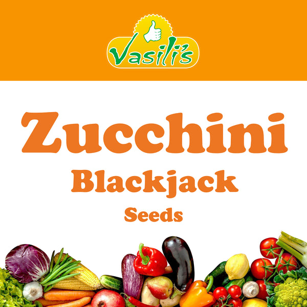 Zucchini Blackjack Seeds