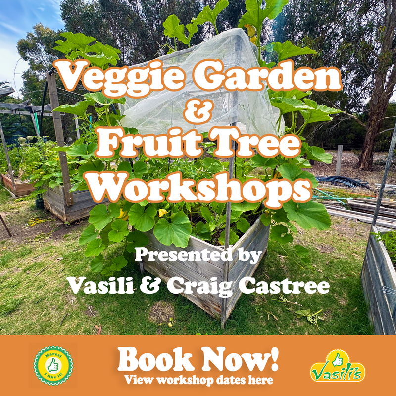 Veggie Garden & Fruit Tree Workshops.