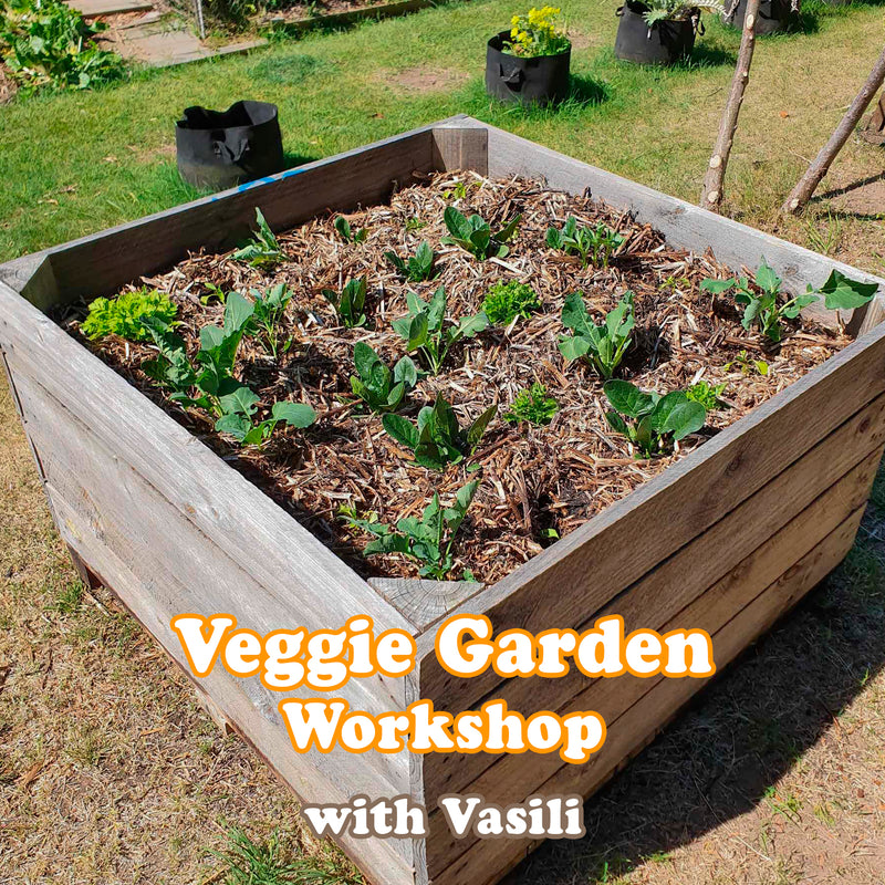 Veggie Garden Workshop With Vasili