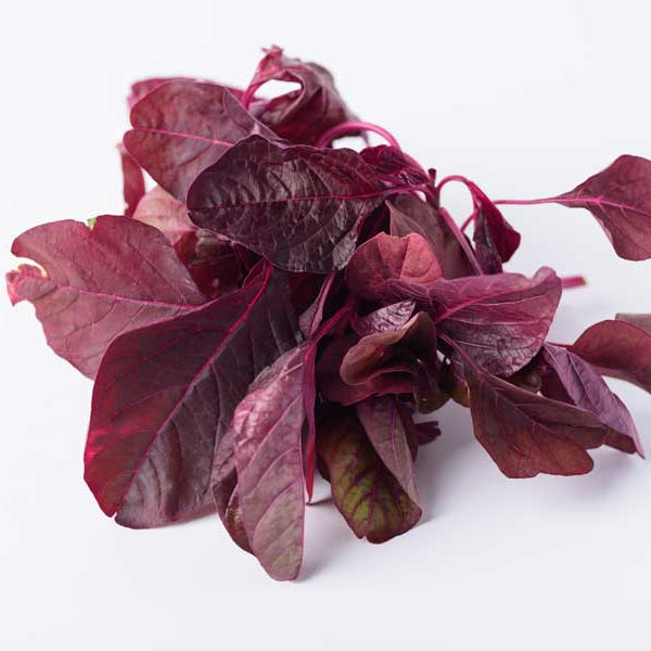Amaranth Red Leaf Seeds
