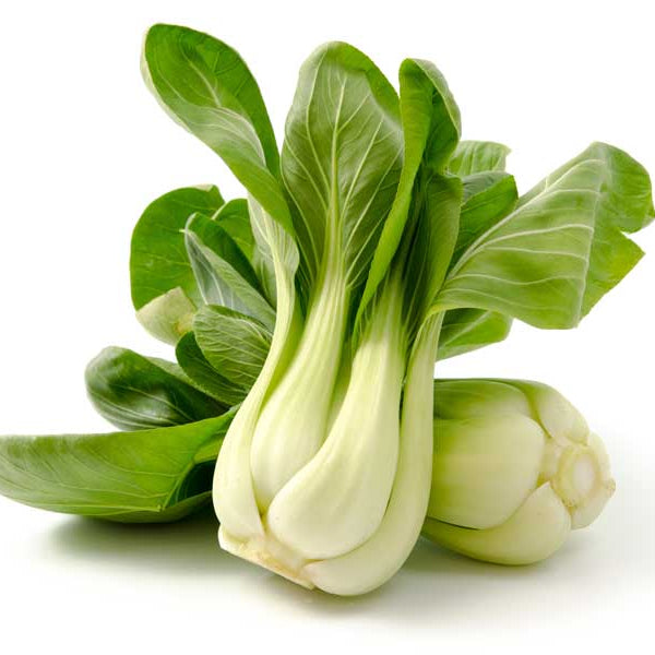 Pak Choi White Stem Seeds