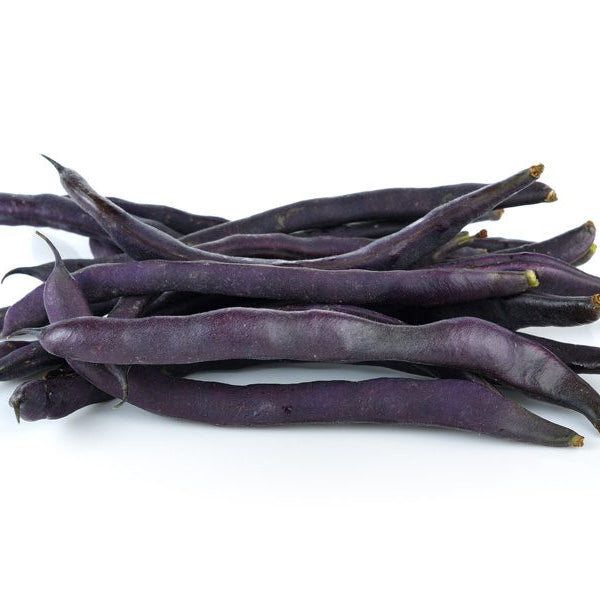 Bean Purple King Climbing Seeds