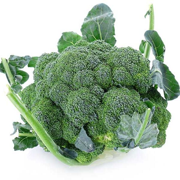 Broccoli Green Sprouting Calabrese Seeds