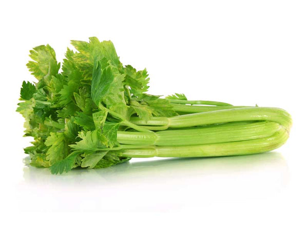 Celery Tall Utah Seeds