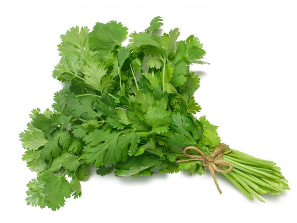 Coriander Slow Bolt Seeds