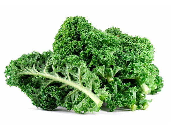 Kale Blue Scotch Curled Seeds