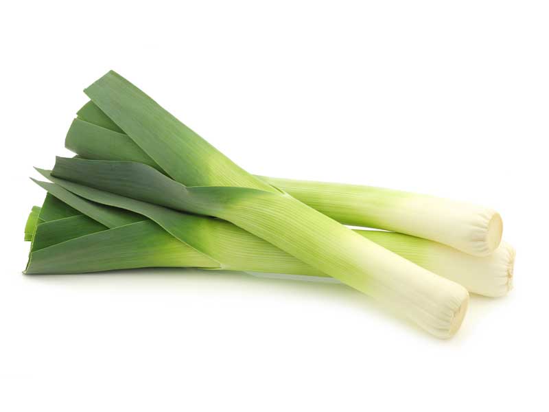 thumbnail image 2 of 775+ American Flag Leek Seeds – Heirloom, Non-GMO, Vegetable Gardening, Zones 3-10 2 of 2