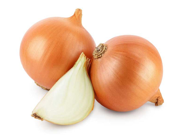 Onion Gladalan Brown Seeds