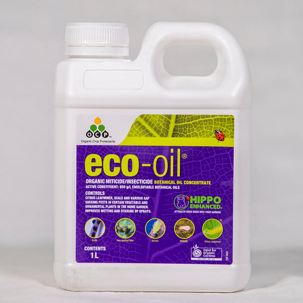 Eco Oil 1Lt