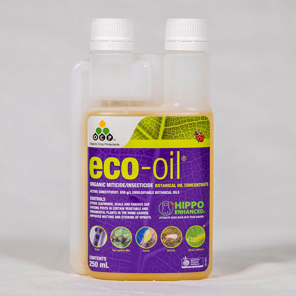 Eco Oil 250ml