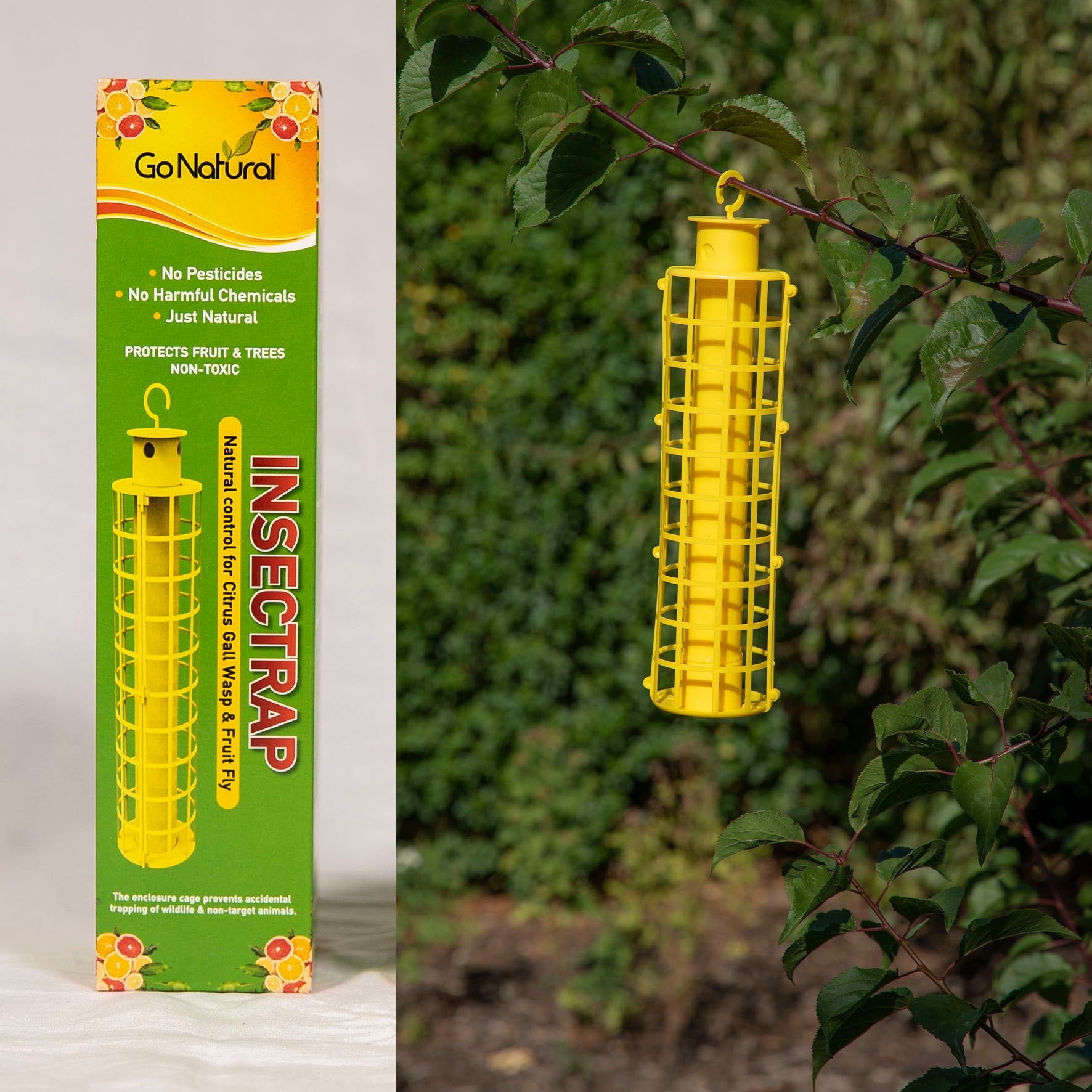Insect Trap – Vasili's Garden