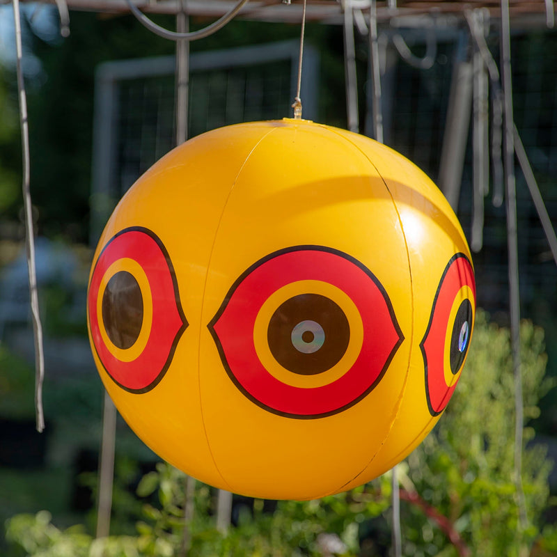 Scary Eye Balloon