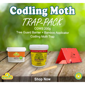 Codling Moth Trap Pack