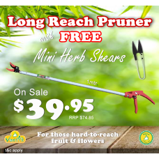 Long Reach Pruner/Picker 1mtr + FREE Mini Herb Shears