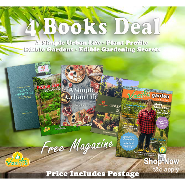 4 Books Deal + Magazine Latest Edition