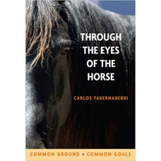 Through the eyes of the horse