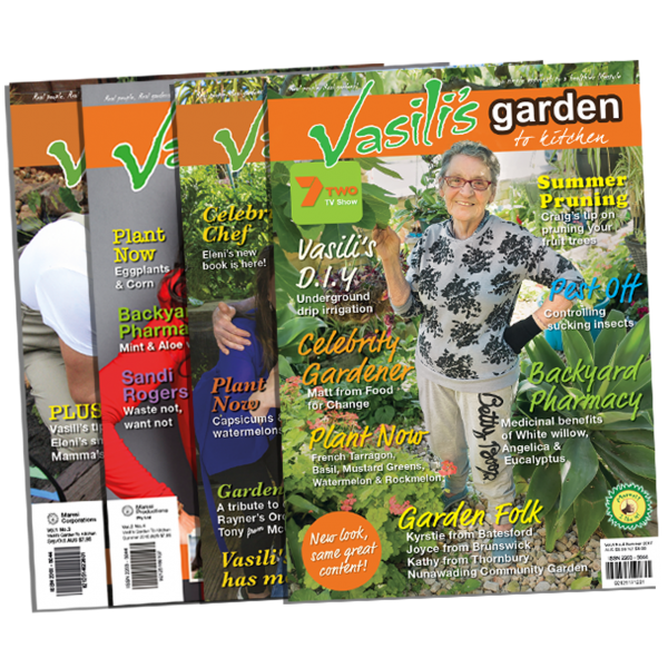 Summer Issue Value Pack