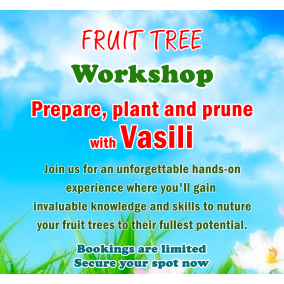 Fruit Tree Workshop - Prepare, Plant & Prune