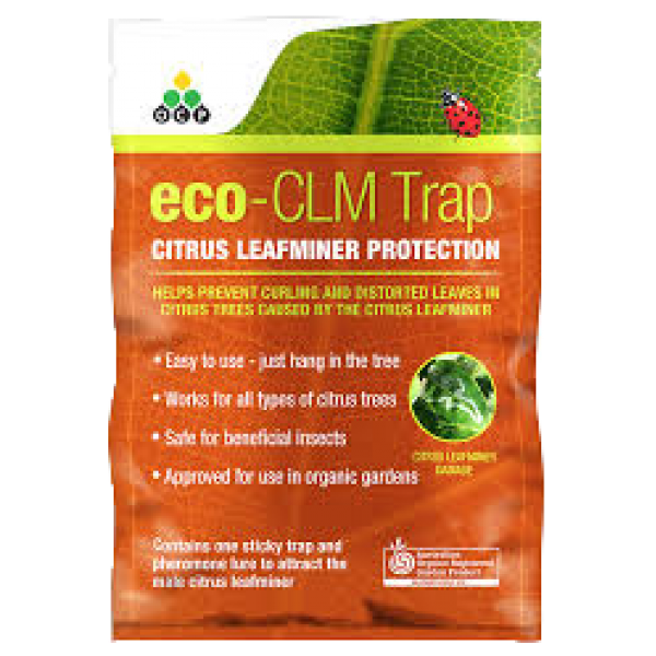 Citrus Leafminer Trap