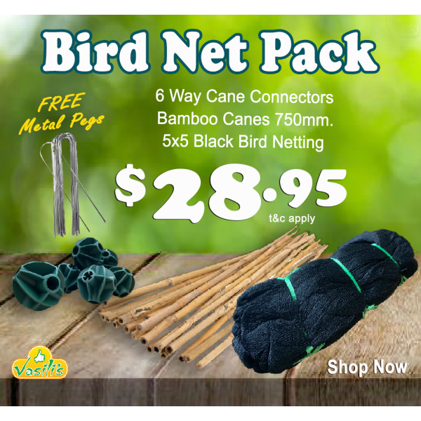 Bird Netting Pack Black + Free Galv' U Pegs