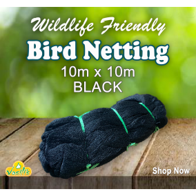 Wildlife Friendly Bird Netting BLACK 10m x 10m