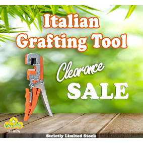 Grafting Tool Italian with Free Budding Grafting knife