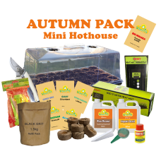 Mini Hothouse Autumn Pack + free delivery