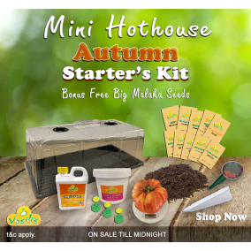 Mini Hothouse Autumn Starter's Kit.