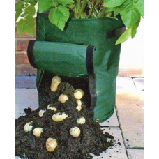 Organic White Star Potatoes + Spud Growing Bag