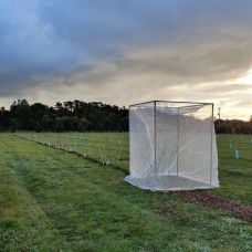 Insect Netting Formed - 1.2M square x 1.8M high
