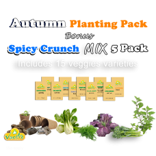 Autumn Planting + Spicy Crunch Pack
