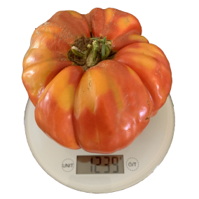 Big Malaka Greek Tomato ® Seeds