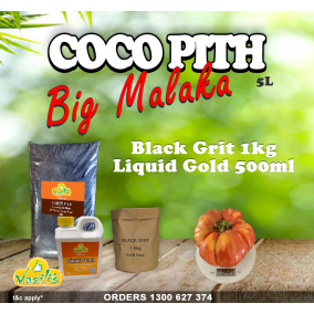 Coco Pith Big Malaka Pack 
