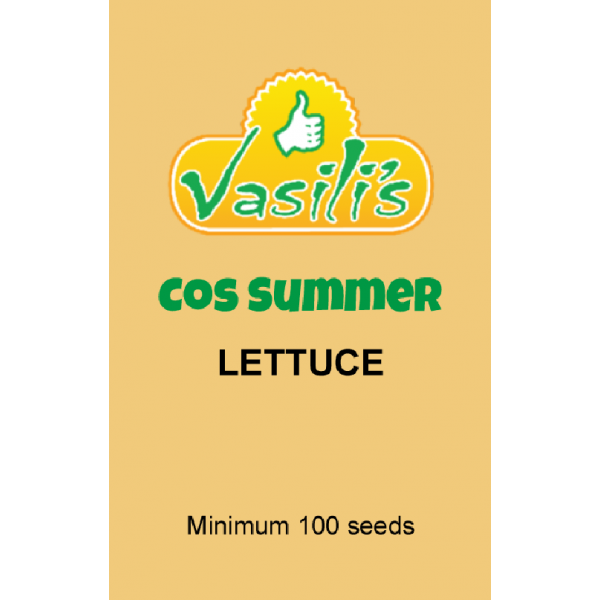 Lettuce Cos Summer