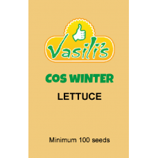 Lettuce Cos Winter