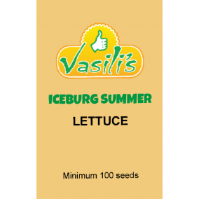 Lettuce Iceberg Summer