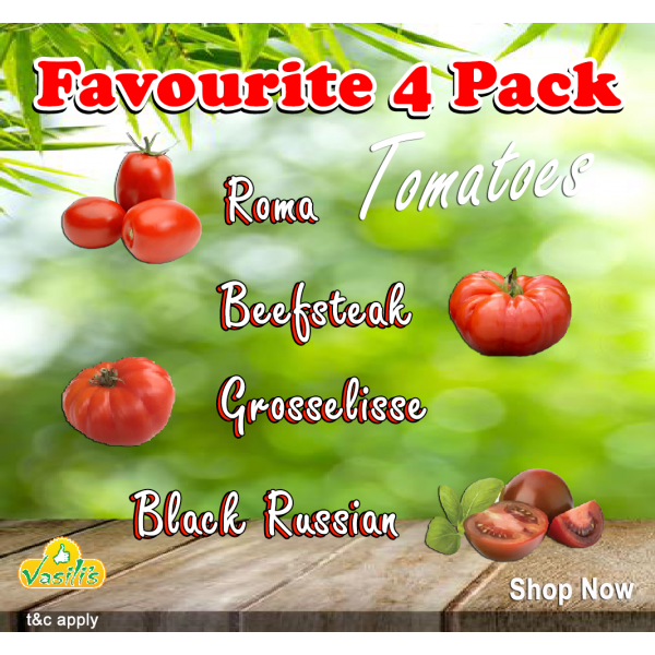 Favourite 4 Pack Tomatoes