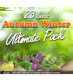 Autumn Winter Ultimate Pack