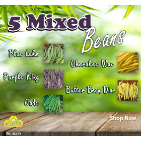 5 Mixed Beans Pack