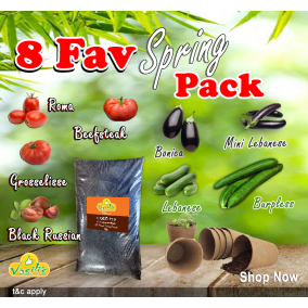 8 Fav Spring Pack