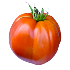 George's Big Tomato Seeds