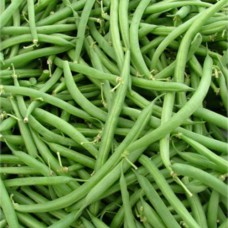Beans Jade Stringless Bush