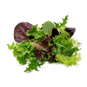 Mesclun Salad Greens Mix