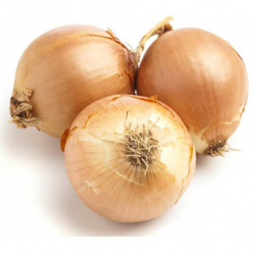 Onion Gladalan Brown