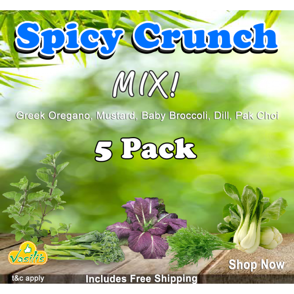 Spicy Crunch Mix 5 Pack