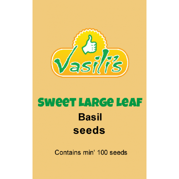 Basil Sweet Large Leaf